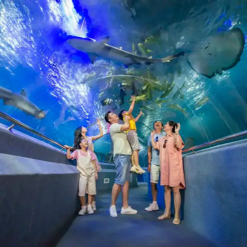 VinWonders Nha Trang - ảnh 3