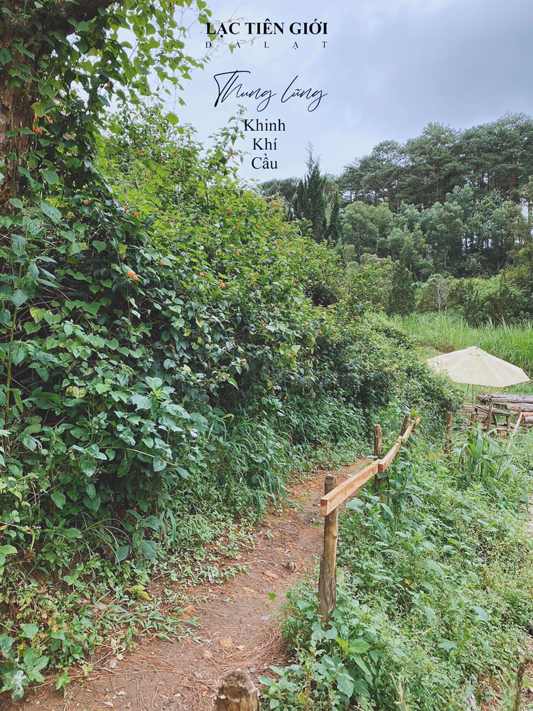 Lạc Tiên Giới Đà Lạt - ảnh 3