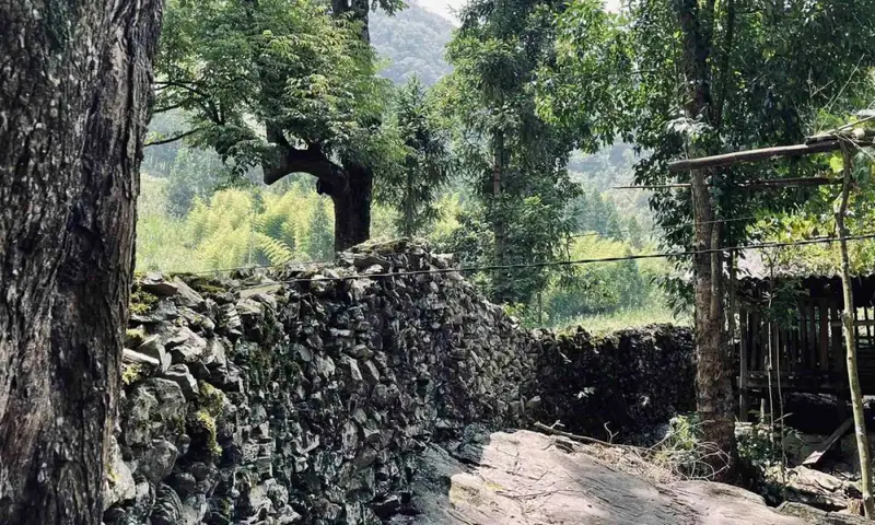 Làng Sảo Há ( Làng ma ám) - ảnh 7