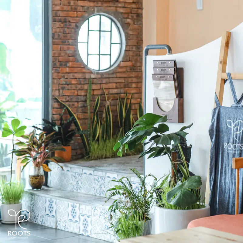 Roots Plant Based Café - ảnh 2