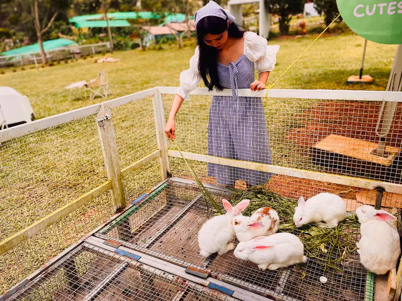 Pink Valley Đà Lạt - ảnh 5