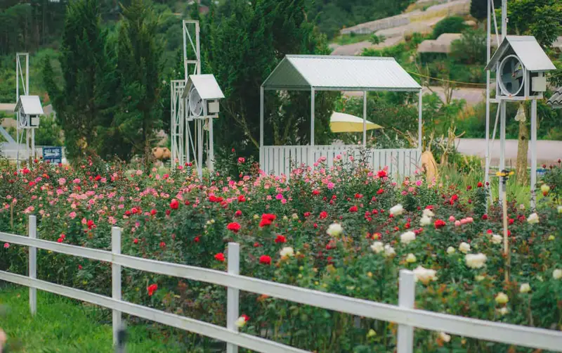 Pink Valley Đà Lạt - ảnh 8