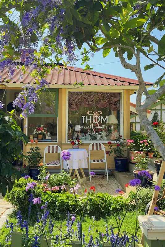 Thơm Đà Lạt - ảnh 8