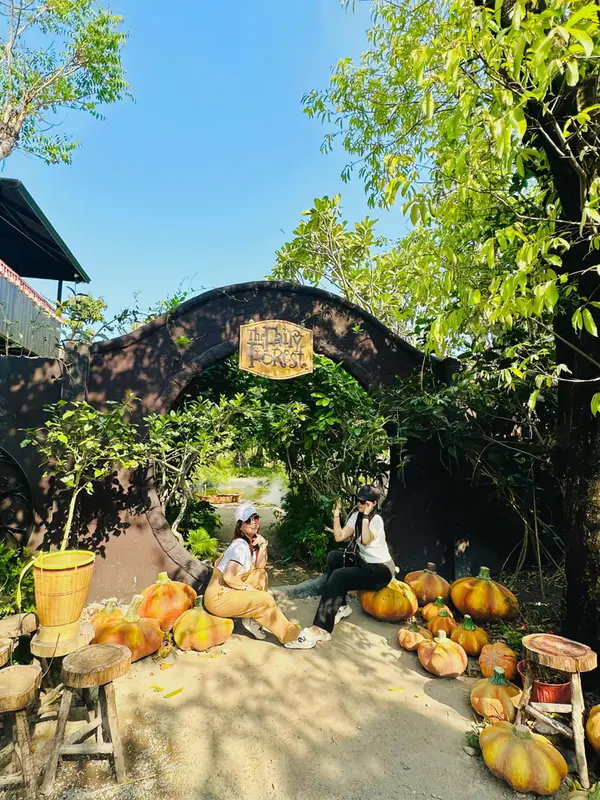 Khu rừng cổ tích - ảnh 5
