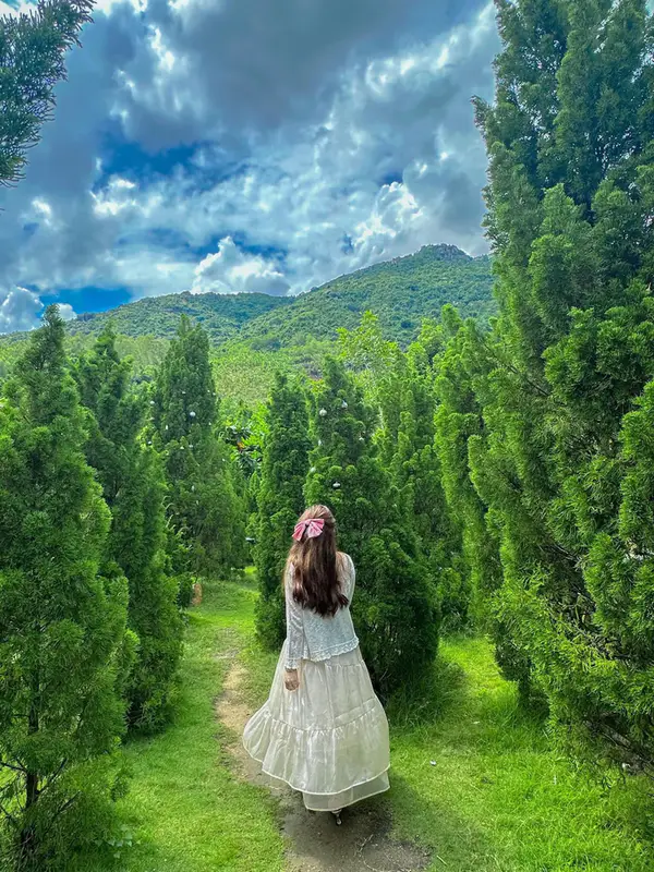 Khu rừng cổ tích - ảnh 9