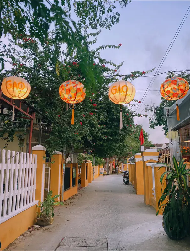 Gạo Hoian - Homemade bao buns & local food - ảnh 6