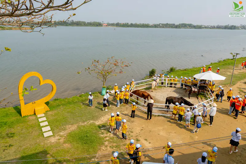 Edufarm Phố Cổ Bao Vinh - ảnh 2