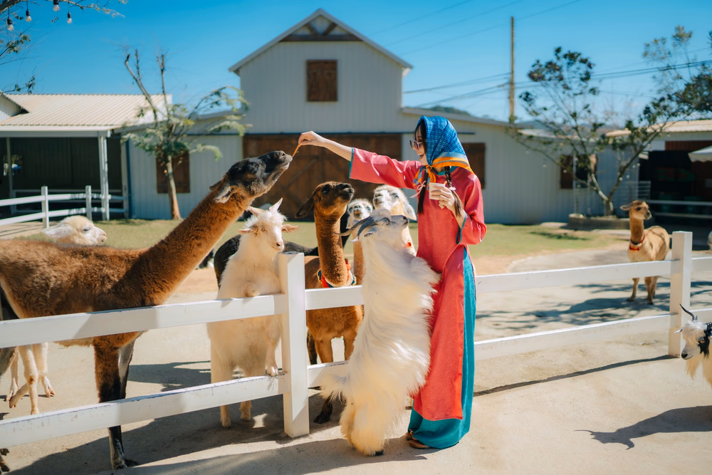 Nông Trại Cún Puppy Farm - ảnh 2