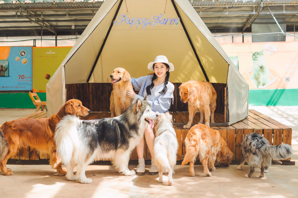 Nông Trại Cún Puppy Farm - ảnh 4