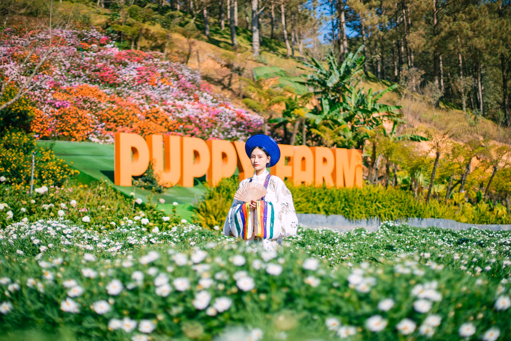 Nông Trại Cún Puppy Farm - ảnh 10