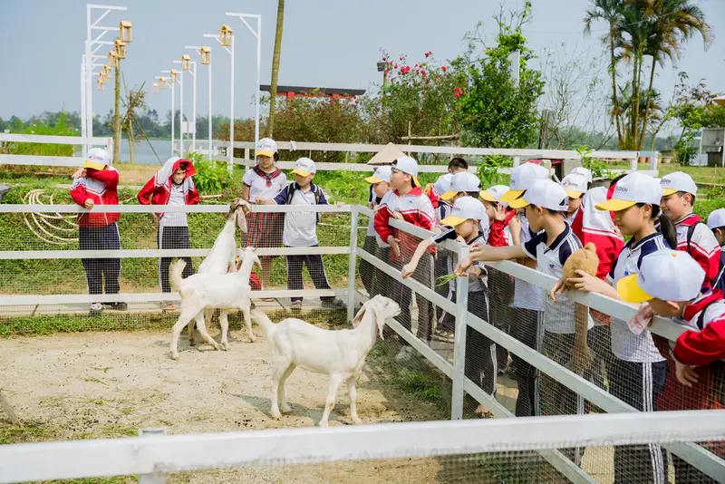 Edufarm Phố Cổ Bao Vinh - ảnh 5