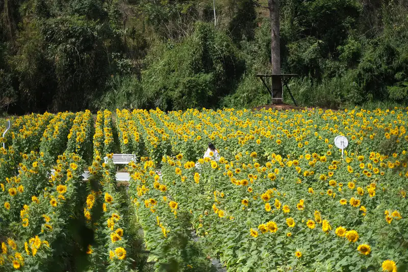 Dalat Camp - ảnh 6