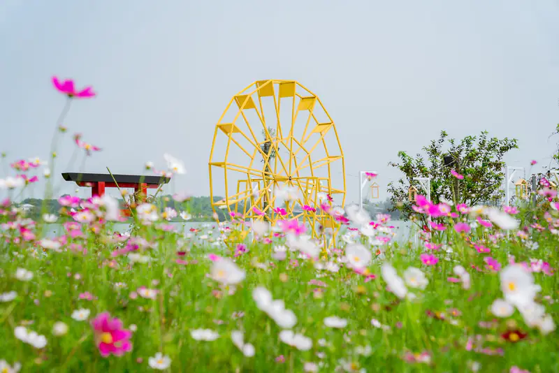 Edufarm Phố Cổ Bao Vinh - ảnh 6