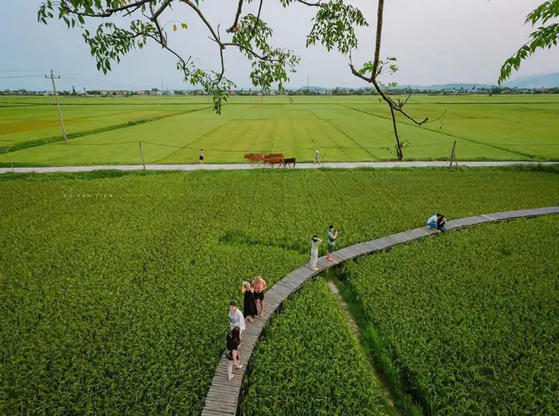 Lò gạch cũ farm - ảnh 2