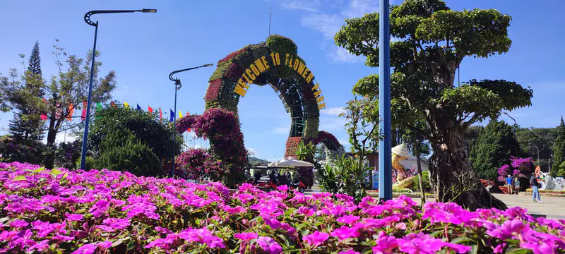 Vườn hoa thành phố Đà Lạt - ảnh 8