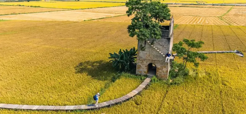 Lò gạch cũ farm - ảnh 3