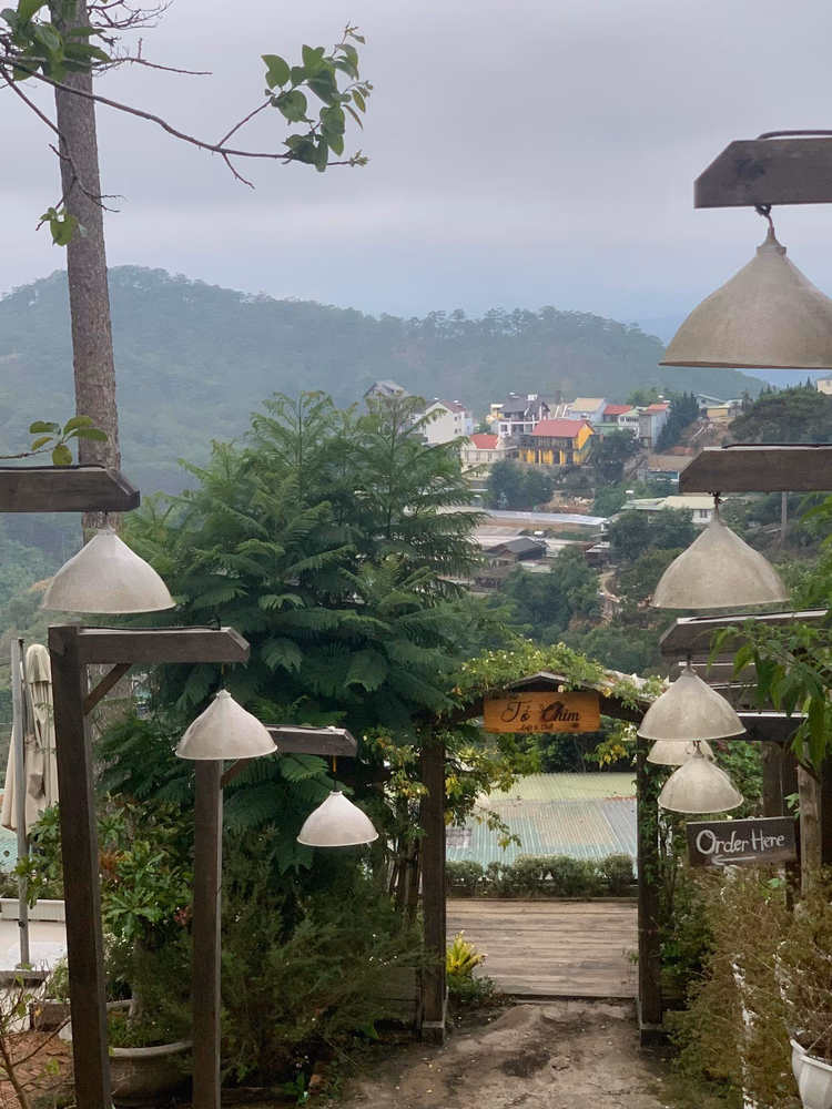 Tiệm cà phê Tổ Chim (Bohem cũ) - ảnh 7