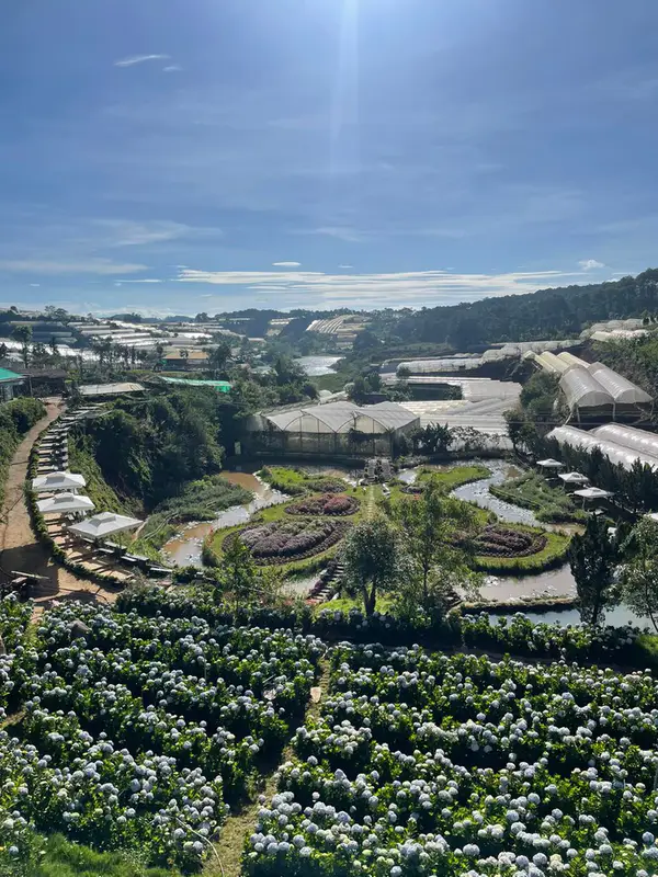 Pink Valley Đà Lạt - ảnh 9
