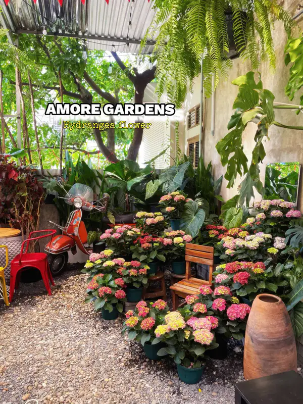 Amore Gardens - ảnh 2