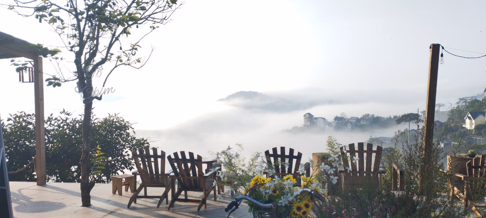 Tiệm cà phê Tổ Chim (Bohem cũ) - ảnh 8