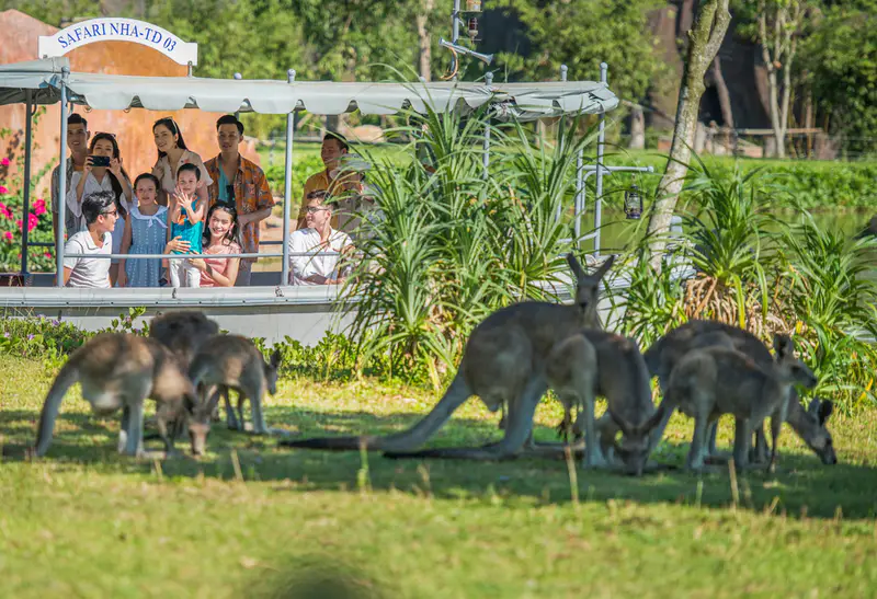 VinWonders Nam Hội An - ảnh 2