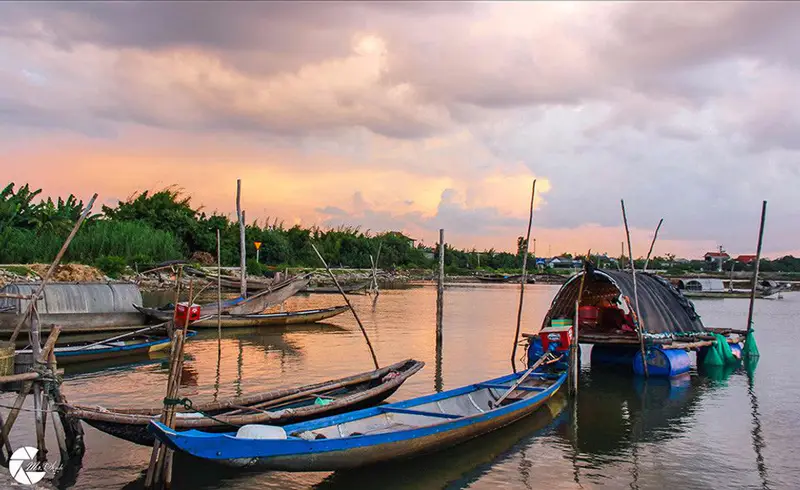 Phá Tam Giang - ảnh 4