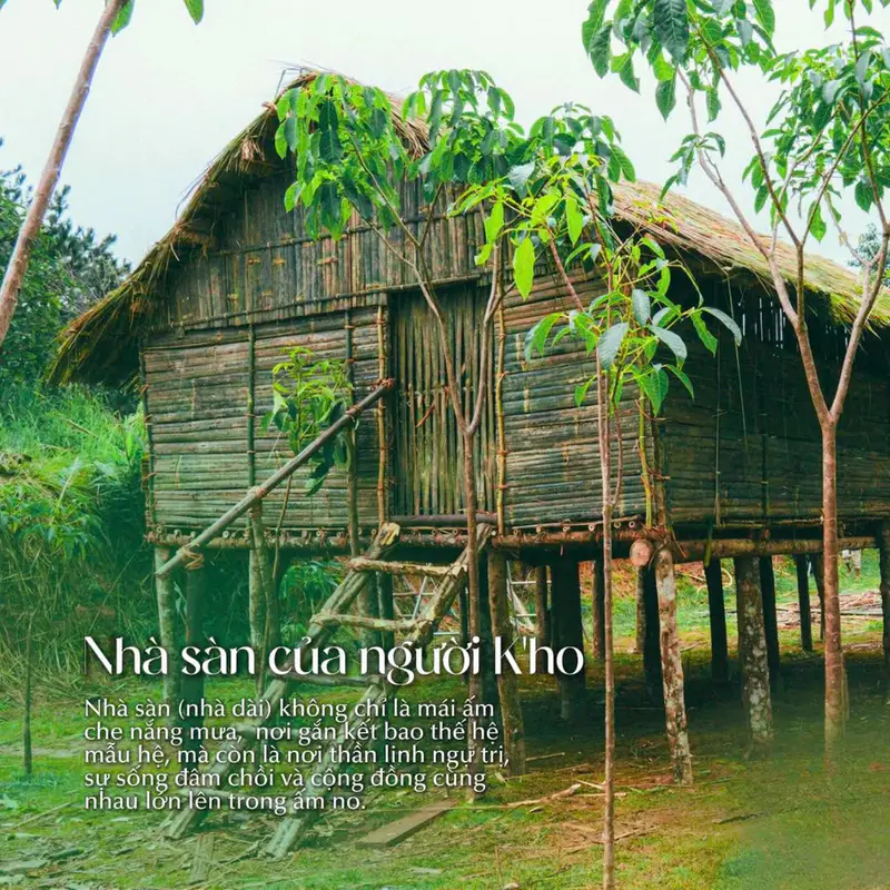 The Florest Hoa Trong Rừng - ảnh 2