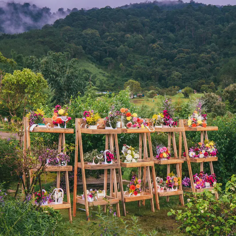 The Florest Hoa Trong Rừng - ảnh 4