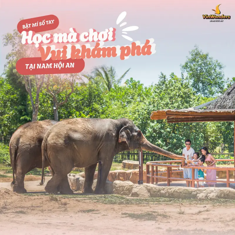 VinWonders Nam Hội An - ảnh 4