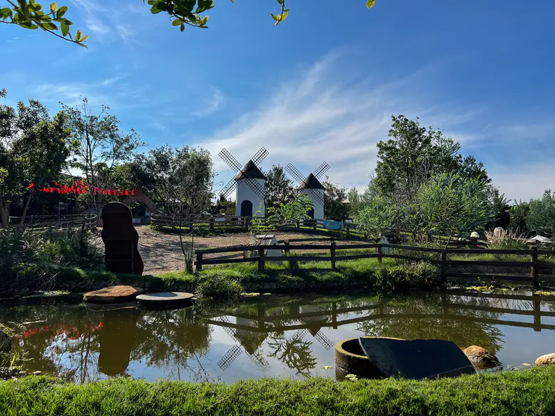 Mongo Land Dalat - ảnh 2