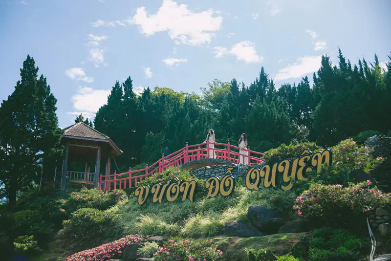 Vườn hoa thành phố Đà Lạt - ảnh 4