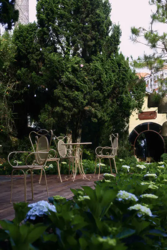 Le Petit Jardin - ảnh 5