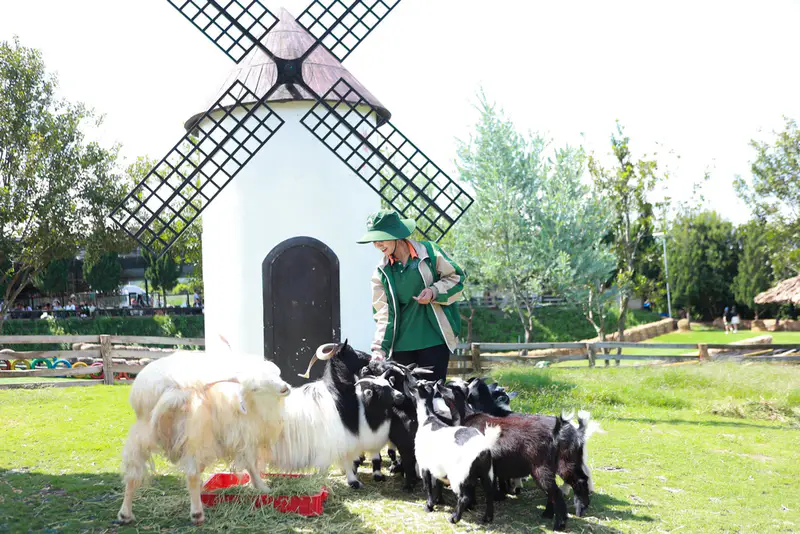 Mongo Land Dalat - ảnh 3