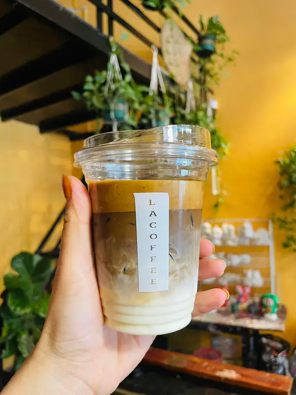 Lá coffee - ảnh 5