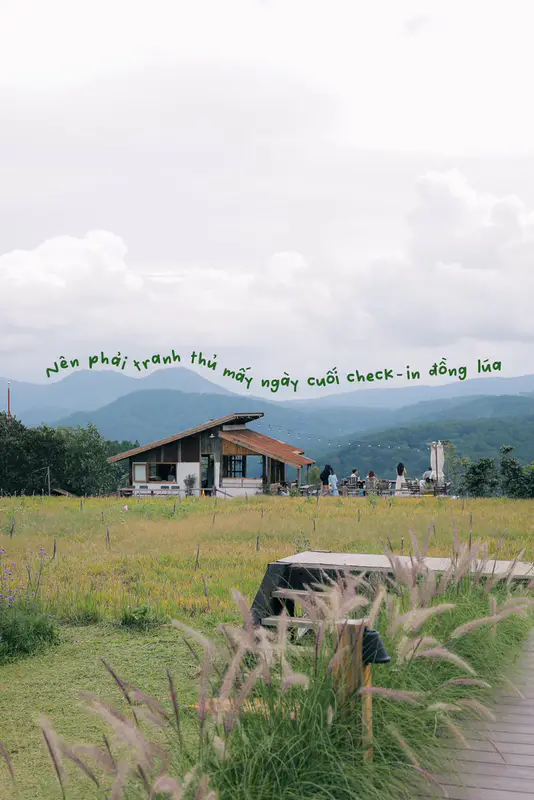 Hidden Land Đà Lạt - ảnh 7