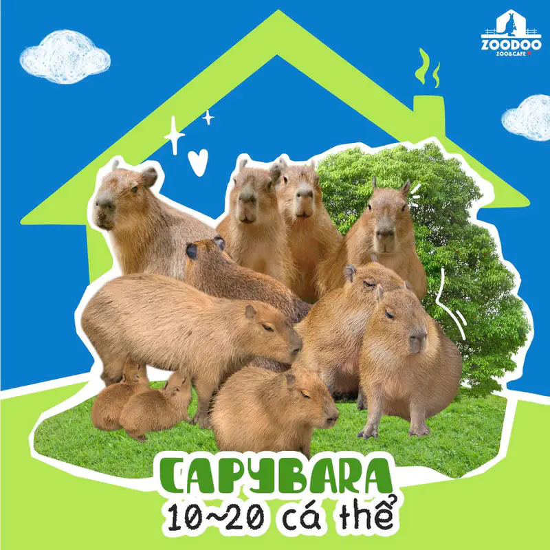 Vườn Thú ZooDoo - ảnh 9
