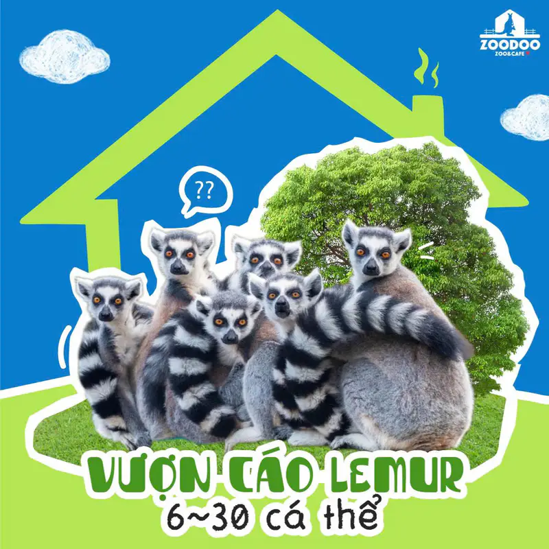 Vườn Thú ZooDoo - ảnh 10
