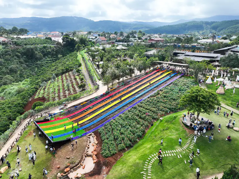 Mongo Land Dalat - ảnh 5