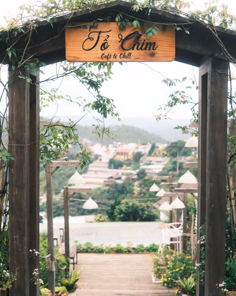 Tiệm cà phê Tổ Chim (Bohem cũ) - ảnh 5