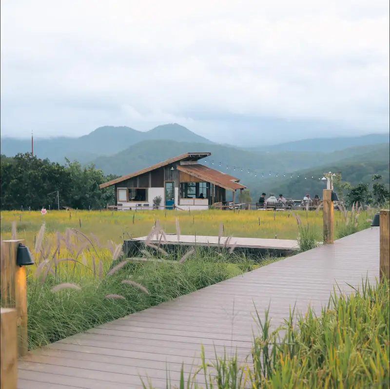 Hidden Land Đà Lạt - ảnh 6