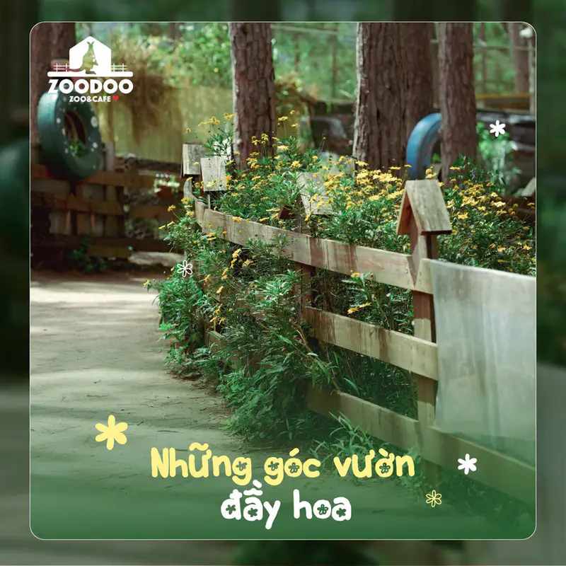 Vườn Thú ZooDoo - ảnh 4