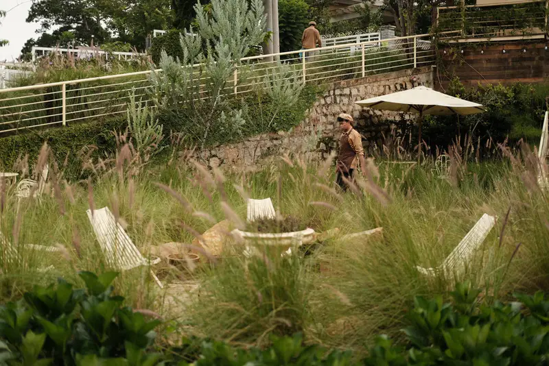 Le Petit Jardin - ảnh 9