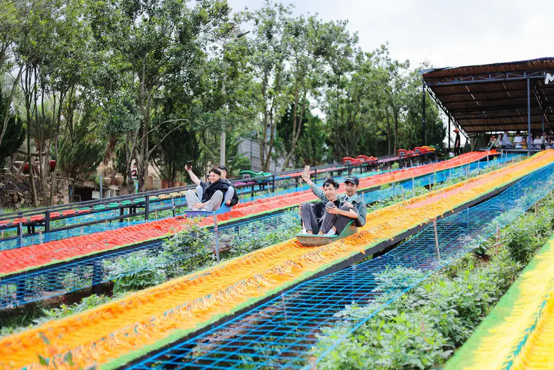 Mongo Land Dalat - ảnh 9