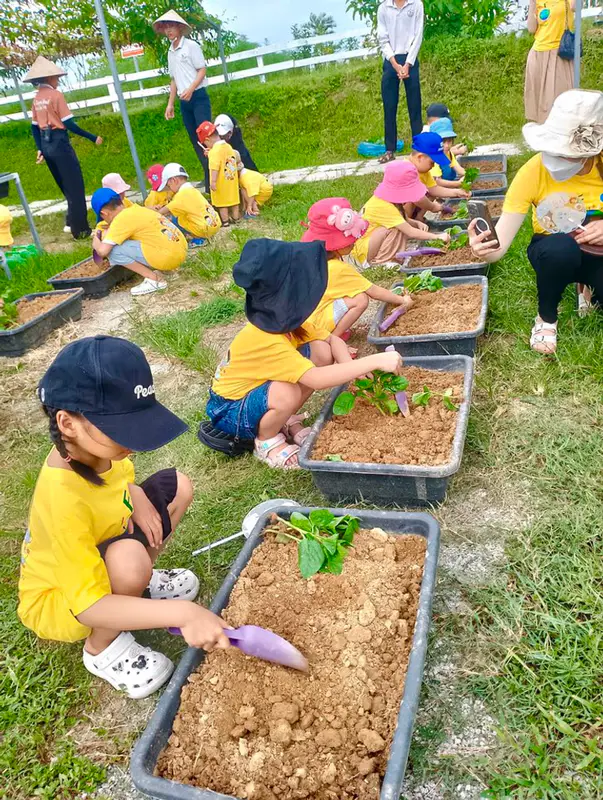 Edufarm Phố Cổ Bao Vinh - ảnh 7