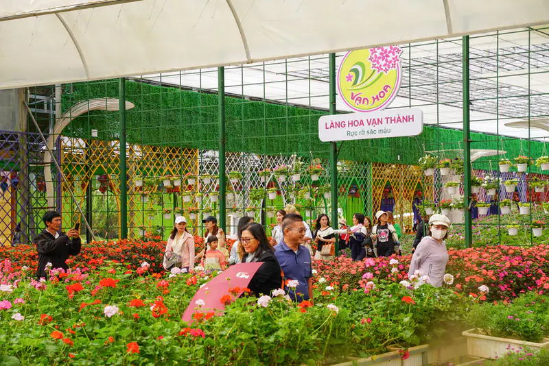 Làng hoa Vạn Thành - Khu du lịch VẠN HOA ĐÀ LẠT - ảnh 5