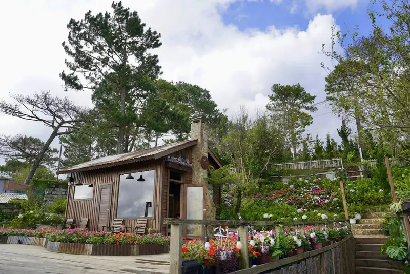 Mountain Chill Tiệm Cà Phê - Đà Lạt - ảnh 3
