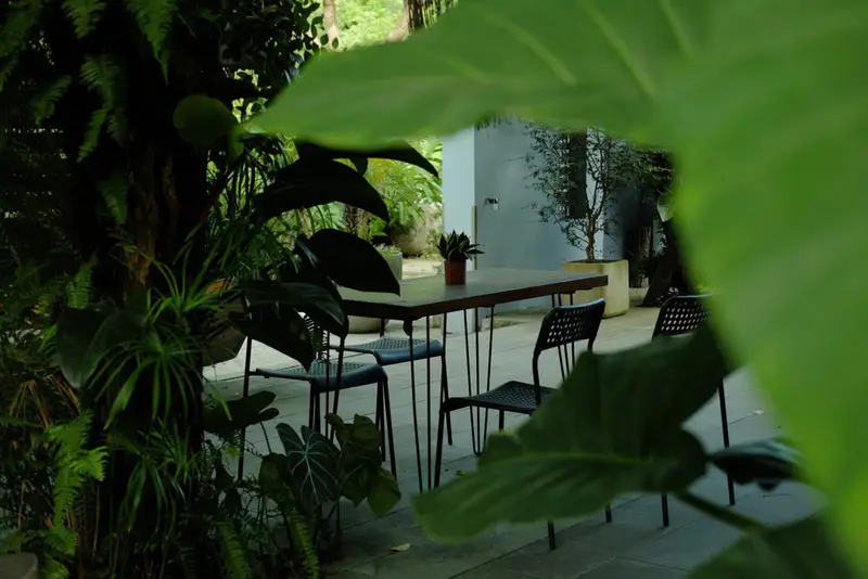 Son Tra Retreat - Garden Lounge & Eatery - ảnh 3