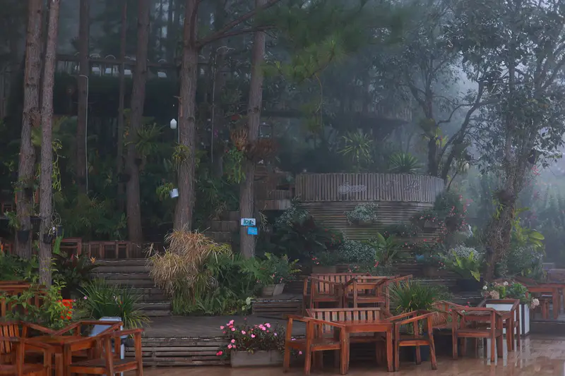 KDL Sinh Thái Cao Nguyên Hoa Đà Lạt - ảnh 6