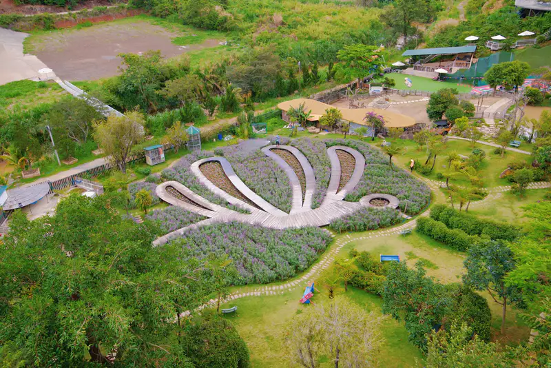 Điểm Du Lịch Chuồn Chuồn - ảnh 3