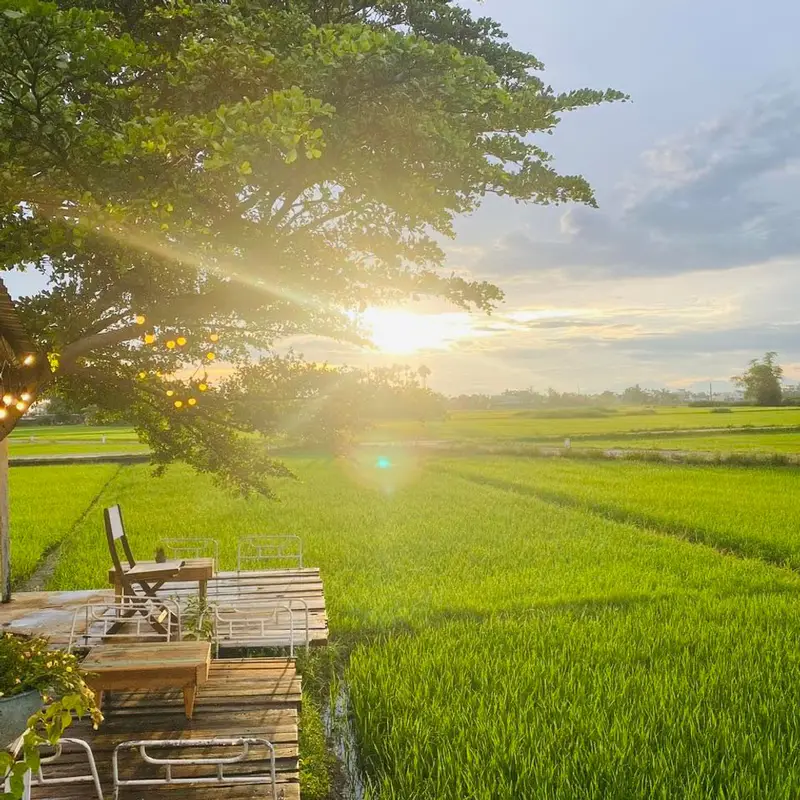 Roving Chillhouse-restaurant & sunsetbar - ảnh 6